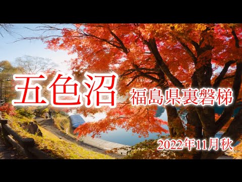 【紅葉】11月　福島県裏磐梯　秋が深まる「五色沼湖沼群」&五色沼の水源「銅沼」