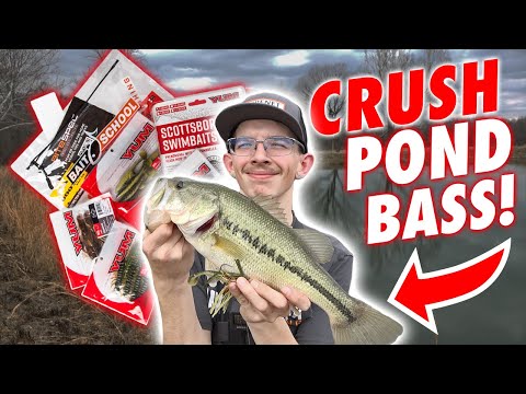 Bank Fishing Custom Soft Plastics for Pre Spawn Bass! (Bank & Creek)