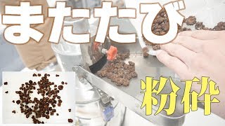 【またたびパウダー】卓上連続粉砕機でまたたびを粉砕（ハンマーミル）