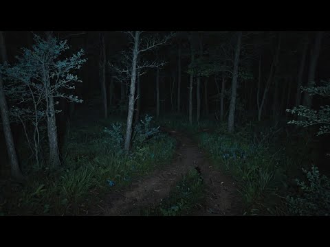 7 Scary Hiking Horror Stories | Scary Hiking Stories | Scary Stories | With Rain Sounds