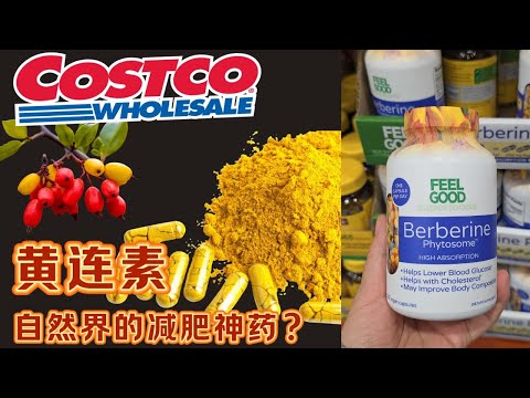 【Costco新上架 Berberine黄连素】自然界的减肥神药？秒杀抗糖丸，对比减肥针Ozempic | 传统中药 Berberine黄连素深度解析：抗糖，减肥，抗炎，降低胆固醇【EN/中文Sub】