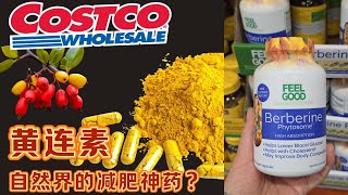 【Costco新上架 Berberine黄连素】自然界的减肥神药？秒杀抗糖丸，对比减肥针Ozempic | 传统中药 Berberine黄连素深度解析：抗糖，减肥，抗炎，降低胆固醇【EN/中文Sub】