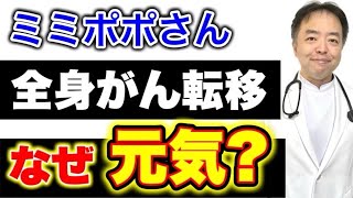 ミミポポさんPETで全身がん転移なのになぜ元気？【専門医解説】有名人がん解説シリーズ