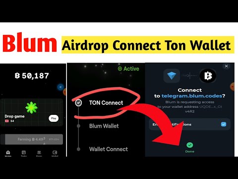 How To Connect Ton Wallet To Blum | Blum Telegram Airdrop