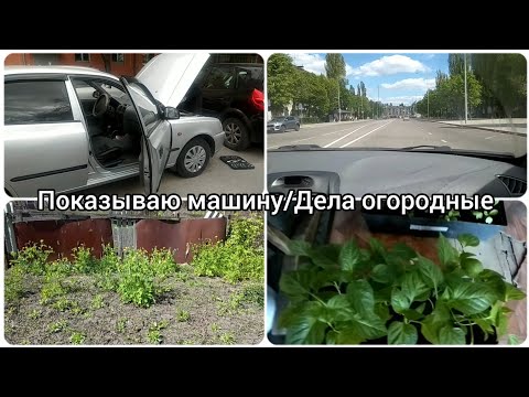 ДАВАЙТЕ Я ВАМ ЕЕ ПОКАЖУ/ОГОРОДНАЯ БОГИНЯ/СО СЛОМАНОЙ РУКОЙ