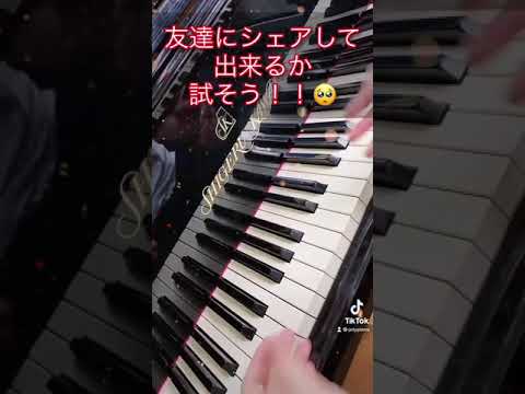 【TikTok】猿でも弾ける！シル・ヴ・プレジデントの弾き方　#shorts