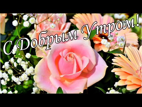 С ДОБРЫМ УТРОМ !🌼Желаю Самого Доброго Солнечного Утра!🌼  Шикарная Музыкальная открытка 🌼