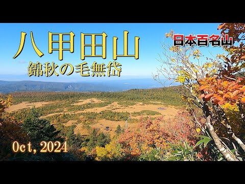 【八甲田山】毛無岱の紅葉