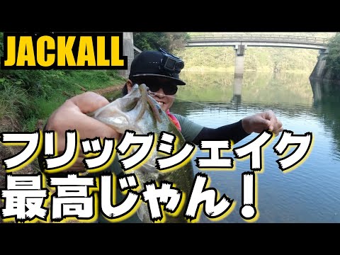 【JACKALL】フリックシェイクはやっぱり釣れるね！【佐賀バス釣り】