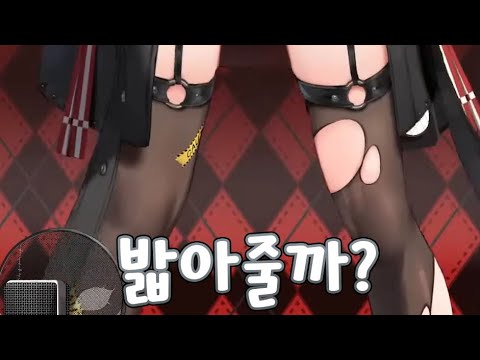 밟아줘 [ 홀로라이브/사카마타 클로에 ]