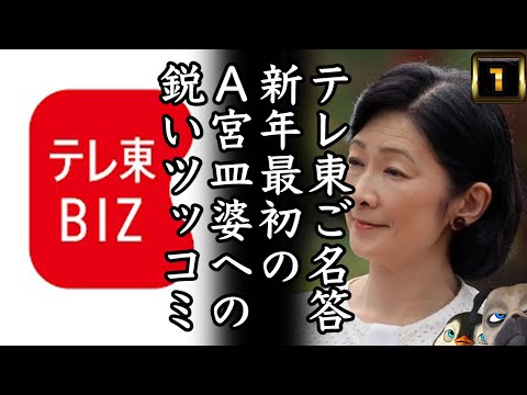 【テレ東】新年最初のA宮皿婆への鋭いツッコミ炸裂