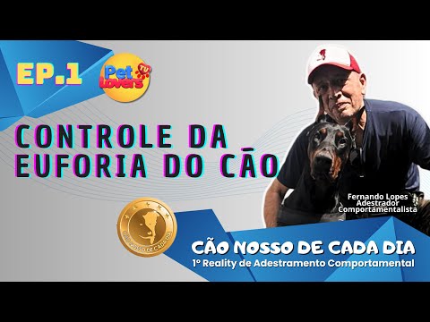 1º Ep. Como controlar a euforia do cão na hora de chegar em casa  #CaoNossoDeCadaDia