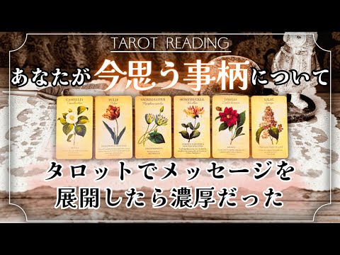 【濃厚クイックリーディング】今あなたが思うことについて💭メッセージ🪶 タロット カードリーディング