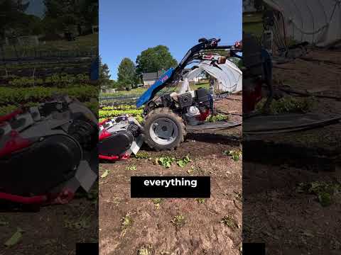 HOW TO CROP OUT AND FLIP A MARKET GARDEN BED USING THE BCS FLAIL MOWER #marketfarm #marketgarden