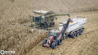 Mais Ernte 2024  Claas Lexion Mähdrescher & Traktor McCormick Landwirtschaft-Mais dreschen- Westhoff