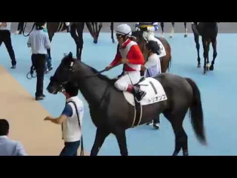 新馬勝ちした　トリオンフ　（浜中俊騎手）