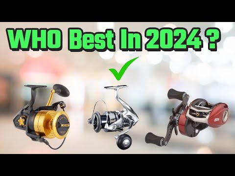 Best Spinning Reels In 2024