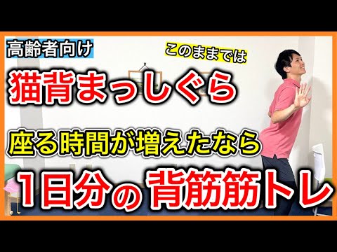 頸椎、胸椎、腰椎の上から下まで背筋を鍛えていつまでも良い姿勢を維持するための背筋トレーニング詰め合わせ