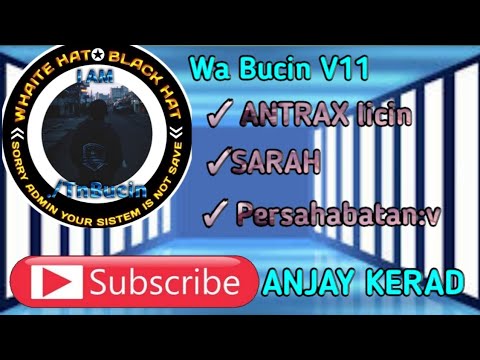 WhatsApp kebal bucin V11 || Sarah licin || ANTRAX licin