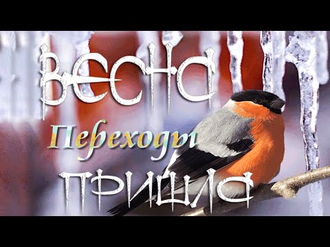 🌷🌹 Весна пришла 🌷🌹 Переходы для монтажа видео 🌷🌹