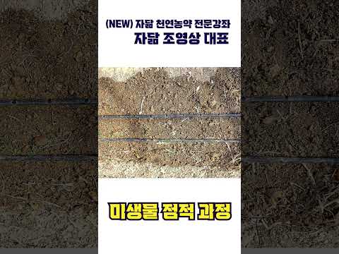 미생물 점적 과정 JMS irrigation process