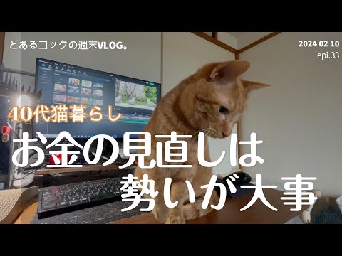 40代猫暮らし　お金の見直しは勢いが大事　epi.33　お金の見直し｜パソコン買い換え｜ネット切り替え｜部屋の模様替え｜契約と解約｜元野良猫