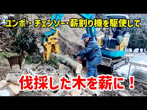 【薪作り】伐採した木の片付け -We clean up the felled trees and make firewood.-