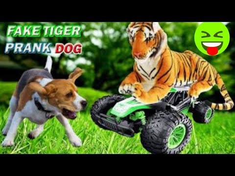 fake lion prank dog with RC car || fun superfast