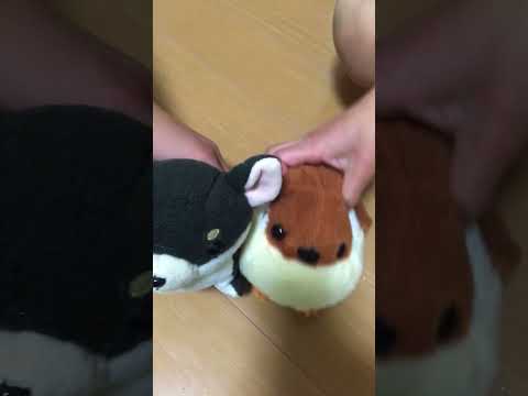 ピタゴラ&ぬいぐるみ劇場