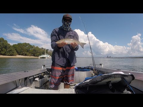 Tinny Life - Surfing, tinny fishing, catch and cook