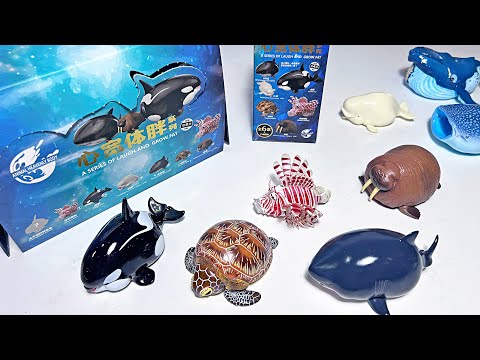 New Sea Animals - Whale, Orca, Great White Shark, Walrus, Sea Turtle, Lion Fish, Beluga Whale