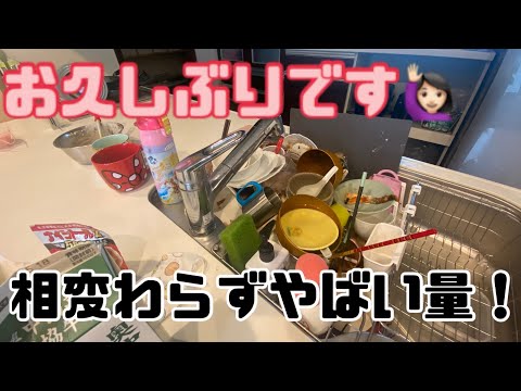 【キッチンリセット】相変わらずやばない？この量【生活音】