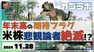 【カブラボ】11/28 米株に年末高の期待フラグ出た？その理由は米悲観論者が消えたこと！