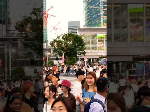 Shibuya Scramble Crossing #japan #travel #japanwalk #foryou #viralshorts #shorts