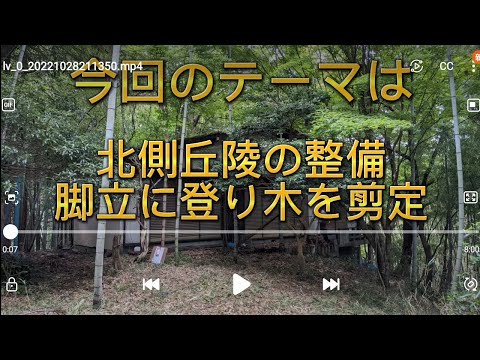 vol.008.あんずの別荘キレイにするワン〔北側丘陵の木々をノコギリで剪定、焼却作業〕20220116