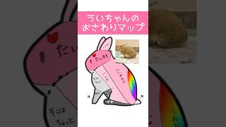 ウサギさん｢うおおおお｣の部分触ったらどうなるの？ #shorts #うさぎのうい #bunny