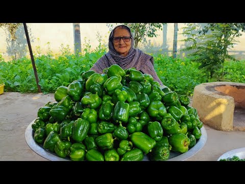 CAPSICUM RINGS RECIPE 🫑| Street Food India | Capsicum Rings | Crispy Rings Making | veg village food