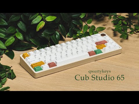 Ridiculous budget 65% keyboard kit!  QK Cub65