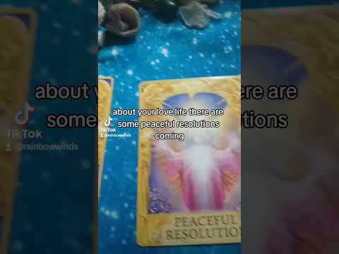 ❤️ Love has solutions 😇🙏💖🌈#tarotreading #angelmessages #foryou