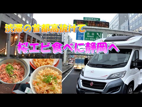 Drive on the Shuto Expressway in a camper and head to Shizuoka in search of Sakura Shrimp!