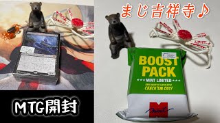 【MTG】吉祥寺LOVE！MINTさんのパックくじ&ブロックオリパを開封くま