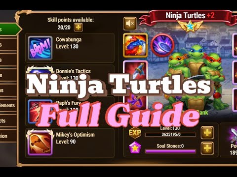 Best Ninja Turtle Guide, I Have The Hero Unlocked.  Hero Wars Dominion Era