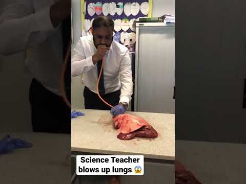 Science Teacher blows up lungs 🫁 Wow.                                      #science #teacher