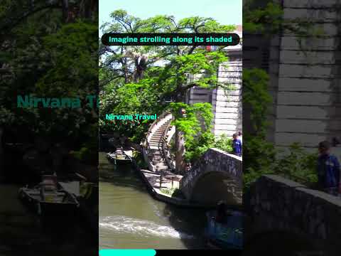 Discover the Magic of the San Antonio River Walk | Top Texas Destination #travel #shorts #texas