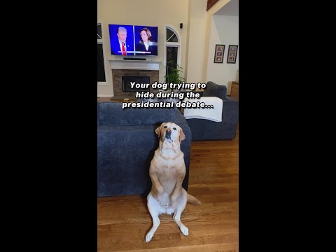 Where was your dog during ther debate?