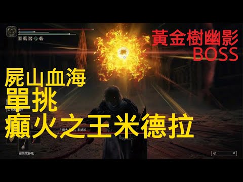 屍山血海單挑顛火之王米德拉-黃金樹幽影BOSS戰(艾爾登法環DLC)Metyr, Mother of Fingers SOLO FIGHT ELDEN RING DLC BOSS FIGHT