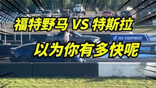 改裝福特野馬GT挑戰特斯拉Model S Plaid，結果你絕對意想不到！Modified Ford Mustang GT challenges Tesla Model S Plaid.