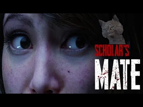 СУПЕР КОТ СТАЛ ПОМОШНИКОМ УЧЕНОГО 🐱 HORROR ЧАСТЬ 1 🐱 Scholar's Mate 2024