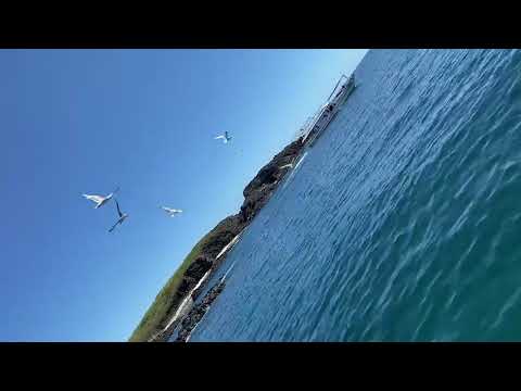 澎湖 喂海鷗  feed the seagulls