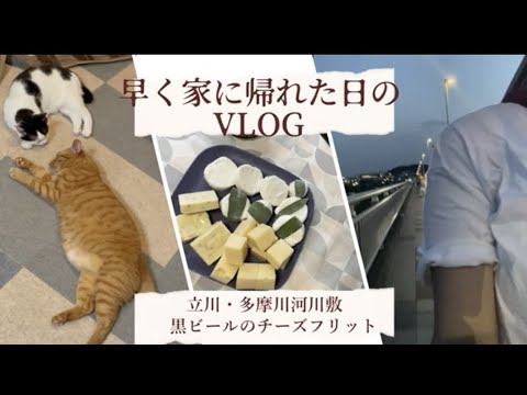 早く家に帰った日の日常VLOG　｜立川｜多摩川河川敷｜チーズの黒ビールフリット｜保護猫